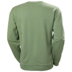 Herrenpullover von Helly Hansen in der Farbe Jade – Rückseite schlicht gehalten