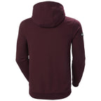 Rückansicht HH Arctic Ocean Full Zip Hoodie Herren Hickory