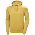 HH Helly Hansen F2F Organic Cotton Hoodie 62934 arrowwood Kapuzenpullover