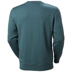 Rückansicht Sweatshirt dark creek mit schlichter Rückseite