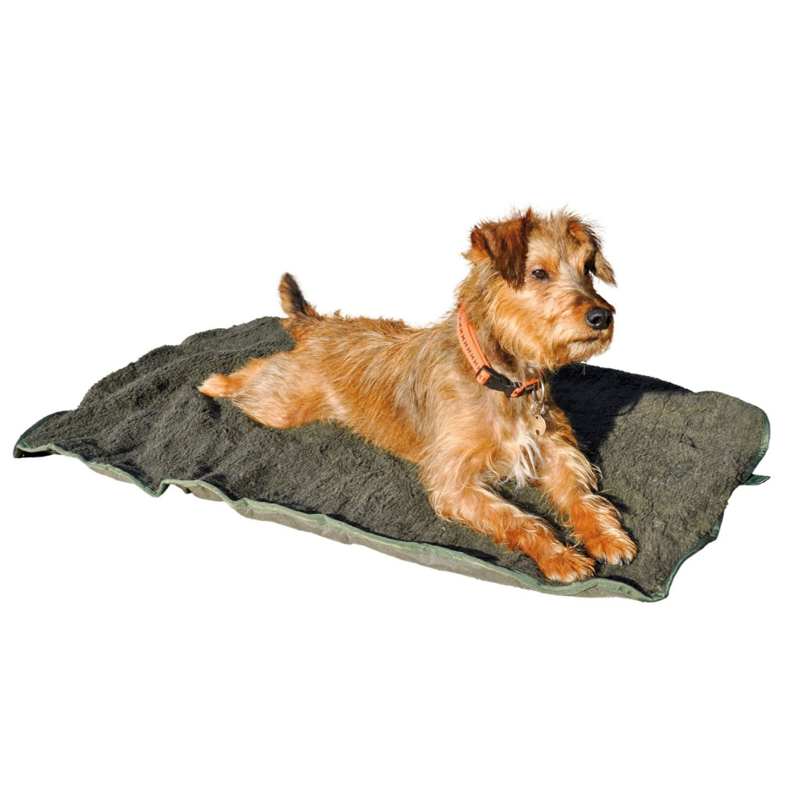 HUBERTUS ISO Hundebett 100×70 cm mit olivgrünem Faserpelz, mit Hund auf der Decke